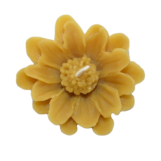 Wax candle "Floating daisy"