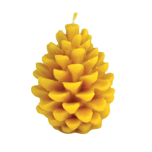Wax candle "Pine cone"
